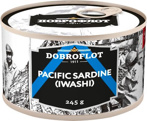 Pacific sardine IWASHI in brine